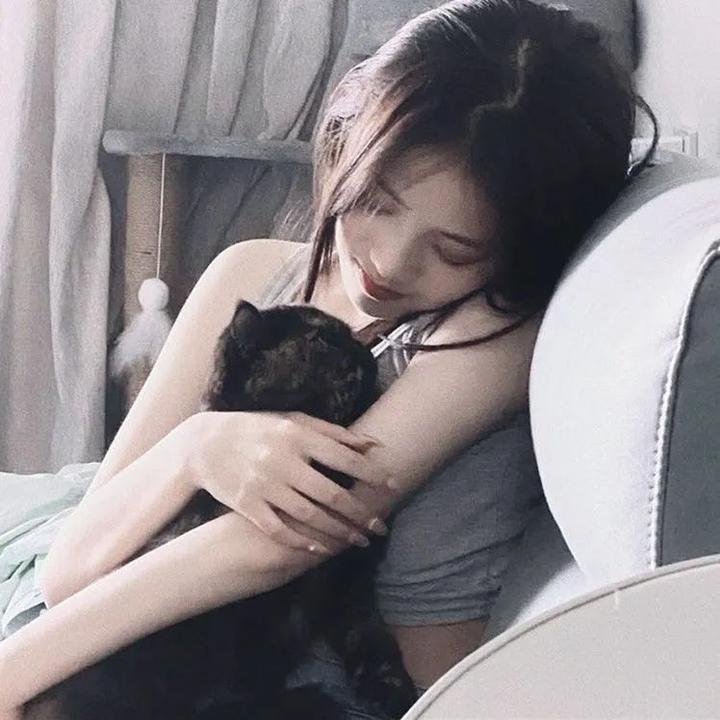 迷案追凶